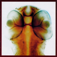 Roger Eno, Lol Hammond | Damage