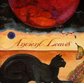 Michael Stearns | Ancient Leaves