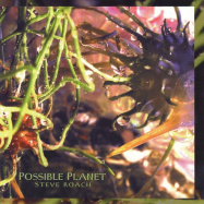 Steve Roach | Possible Planet