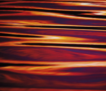 Nigel Mullaney | 31 Days