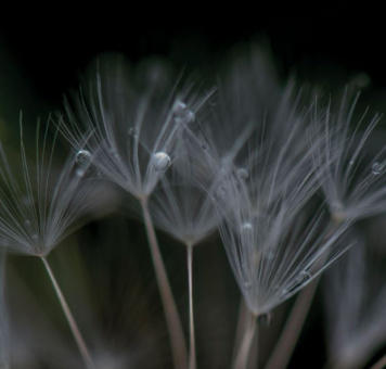 Ian Boddy | Nevermore