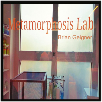 Brian Geigner | Metamorphosis Lab